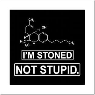 I'm stoned not stupid Posters and Art